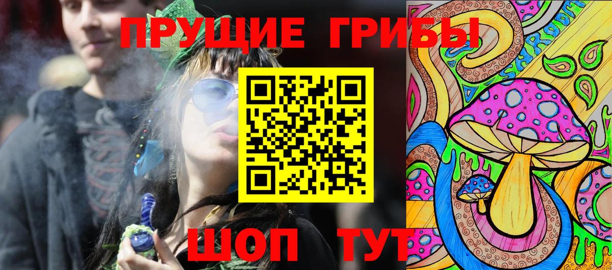 Псилоцибиновые грибы Cubensis  Вход с VPN  Канск 